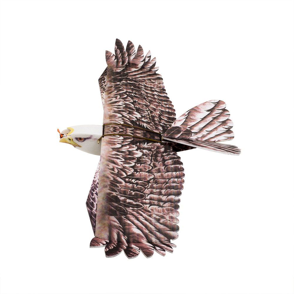 Model Kit Expert - Pesawat RC DW Hobby Eagle II