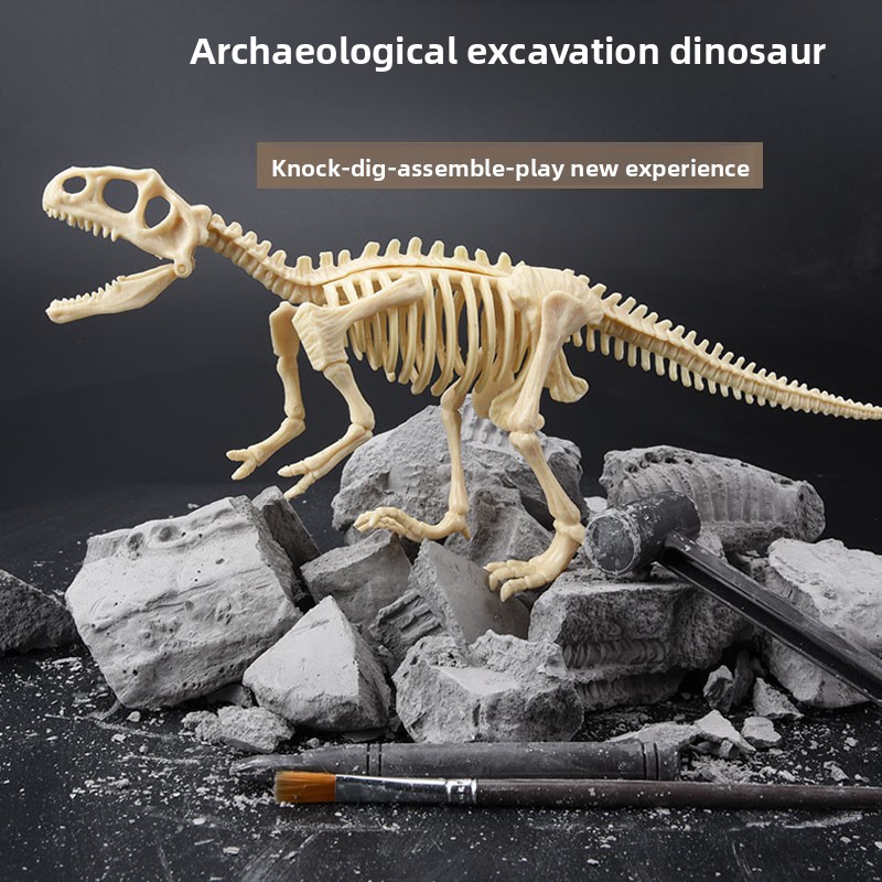 Kit Penggalian Fosil Dinosauru - Model Kit Dinosaur ulasan dan harga